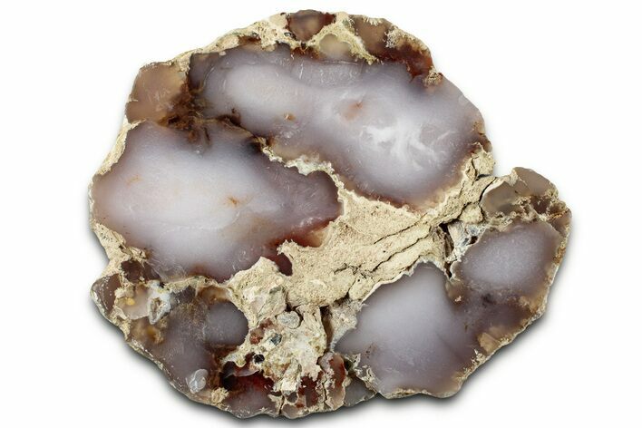 Pink Agate Replaced Petrified Wood Limb Cast - Nevada #326682